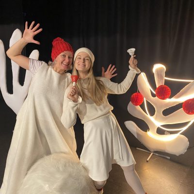 Teatralizuota programa vaikams „Švenčių belaukiant“
